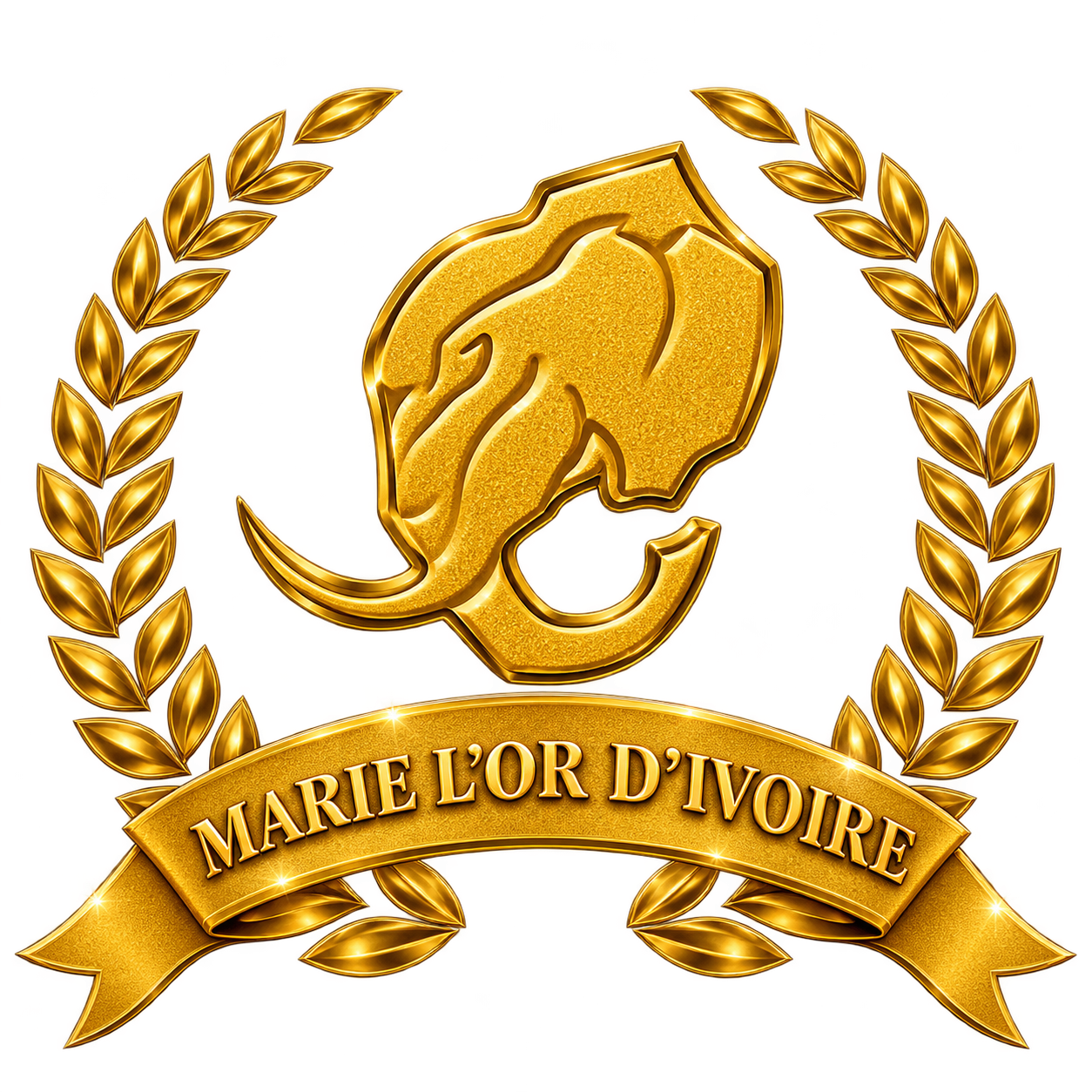 Logo MLDI